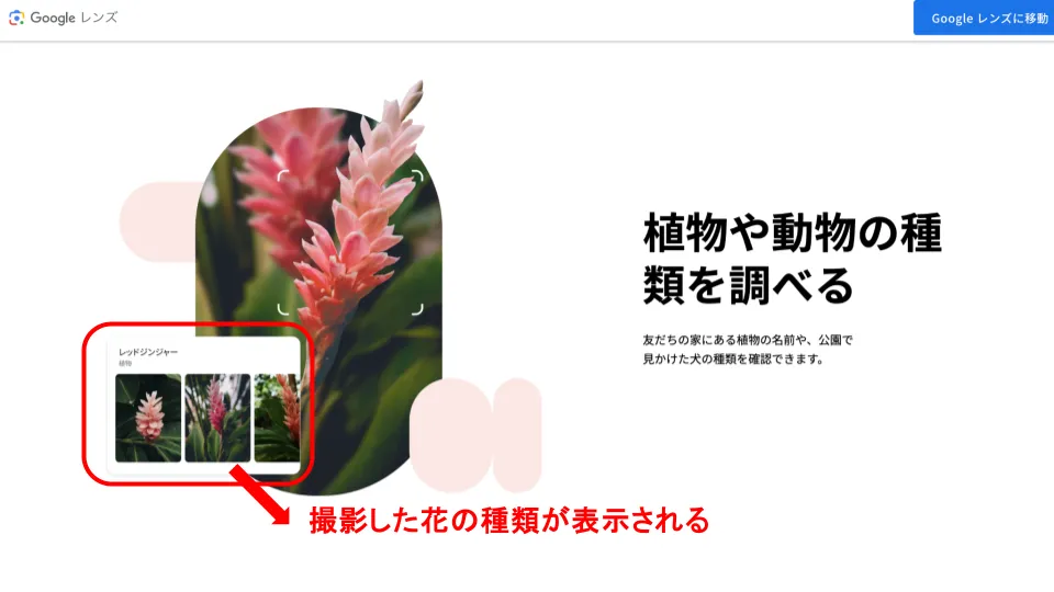 Googleレンズで検索